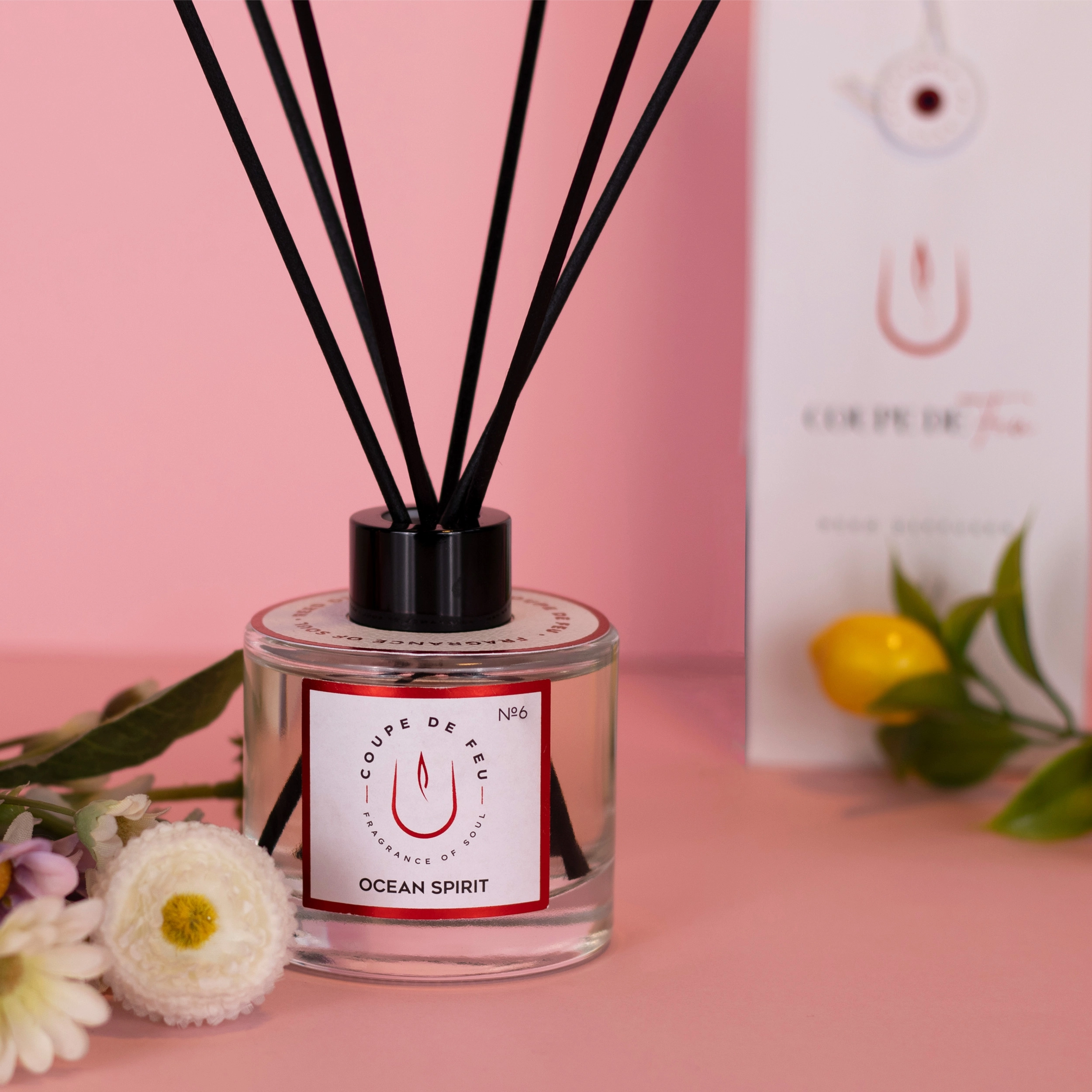 Ocean Sprit Çubuklu Oda Kokusu 120 ml